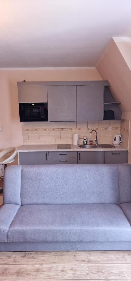 Apartament Krokus Zakopane Kültér fotó
